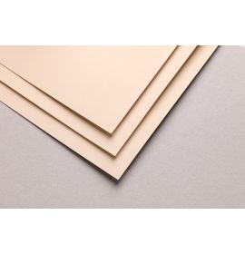#196059 - Clairefontaine Pastelmat - Sheets - Beige - Five Sheets - 360g - 9 1/2 x 12 1/2"