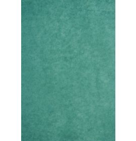 #393750 Clairefontaine Tissue Paper - Green - 8 Sheets - 19 3/4 x 29 1/2" Clairefontaine"