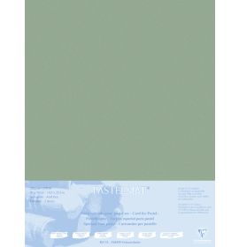 Exaclair B2B #296019 - Clairefontaine Pastelmat - Sheets - Dark Grey - Five  Sheets - 360g - 27 1/2 x 39 1/2