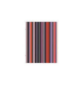 #51249 Exacompta Fashion Filing 3-Ring Binder 8 ½ x 11 Assorted Wild Stripes