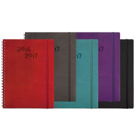 #9103Q5, Python Academic Display Assorted Colors Size:18 x 5 x 13, 2023/2022
