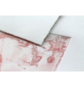 Clairefontaine - Fleur de Coton - Art Print Paper - 250g - Pack of 10 Sheets - 22 x 30"