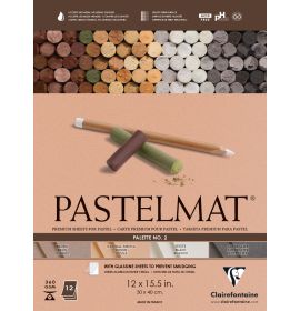 Clairefontaine Pastelmat Glued Pad - Palette No. 2 - (12 x 15 3/4 Inches) 30 x 40 cm - 360g - 12 Sheets - Sienna, White, Brown, Charcoal Grey