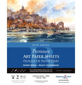 Stillman & Birn, Beta Series, Premium Art Sheet Pack, 8 x 10", 12-Sheets per Pack