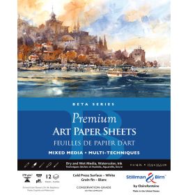 Stillman & Birn, Beta Series, Premium Art Sheet Pack, 11 x 14", 12-Sheets per Pack